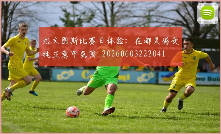 尤文图斯比赛日体验：在都灵感受纯正意甲氛围_20260603222041