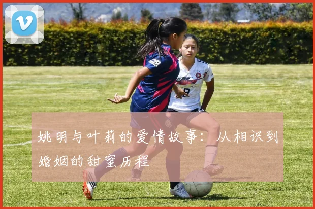 姚明与叶莉的爱情故事:从相识到婚姻的甜蜜历程