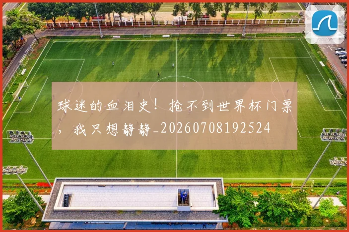 球迷的血泪史！抢不到世界杯门票，我只想静静_20260708192524