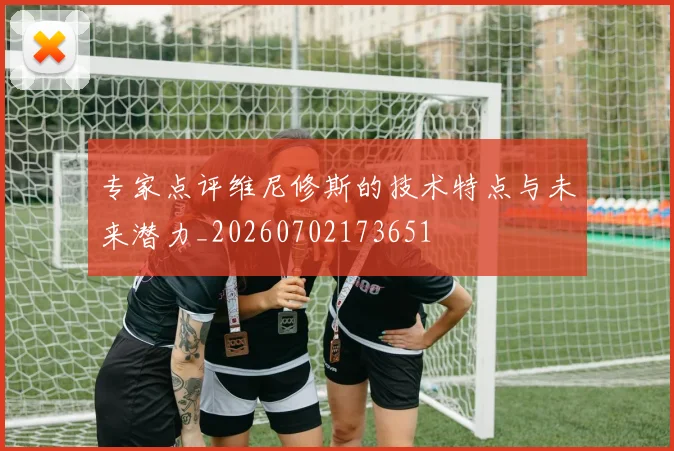 专家点评维尼修斯的技术特点与未来潜力_20260702173651