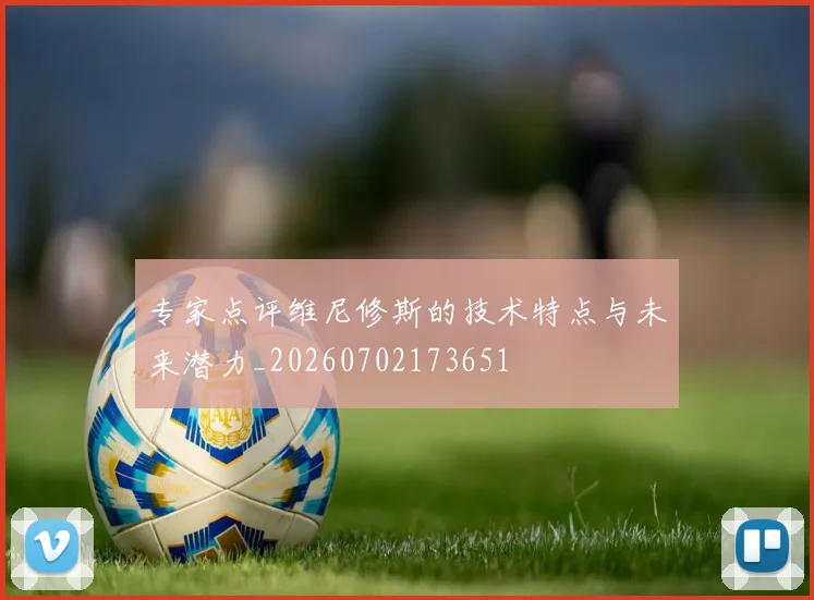专家点评维尼修斯的技术特点与未来潜力_20260702173651